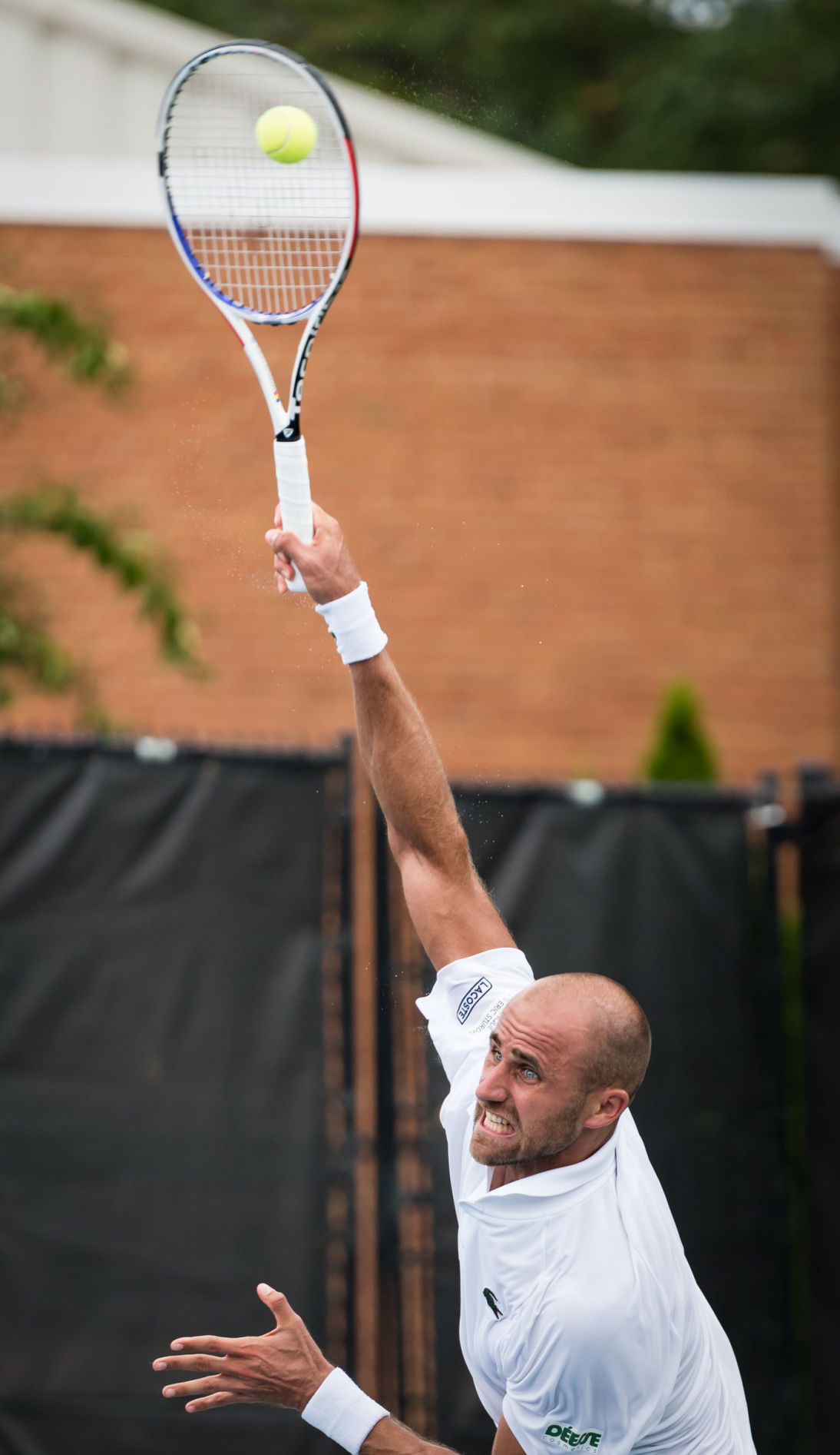 Winston-Salem Open